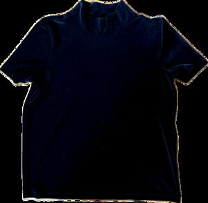 Madewell Velvet Tee - Size XS